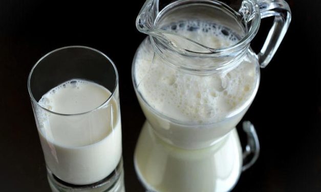 Susu Murni: Lebih Baik Di Minum Langsung Atau Di Rebus Dulu?