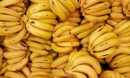 Solusi Kurus! Buah Tinggi Kalori Yang Bantu Tubuh Lebih Berisi