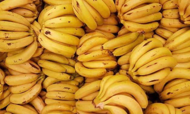 Solusi Kurus! Buah Tinggi Kalori Yang Bantu Tubuh Lebih Berisi
